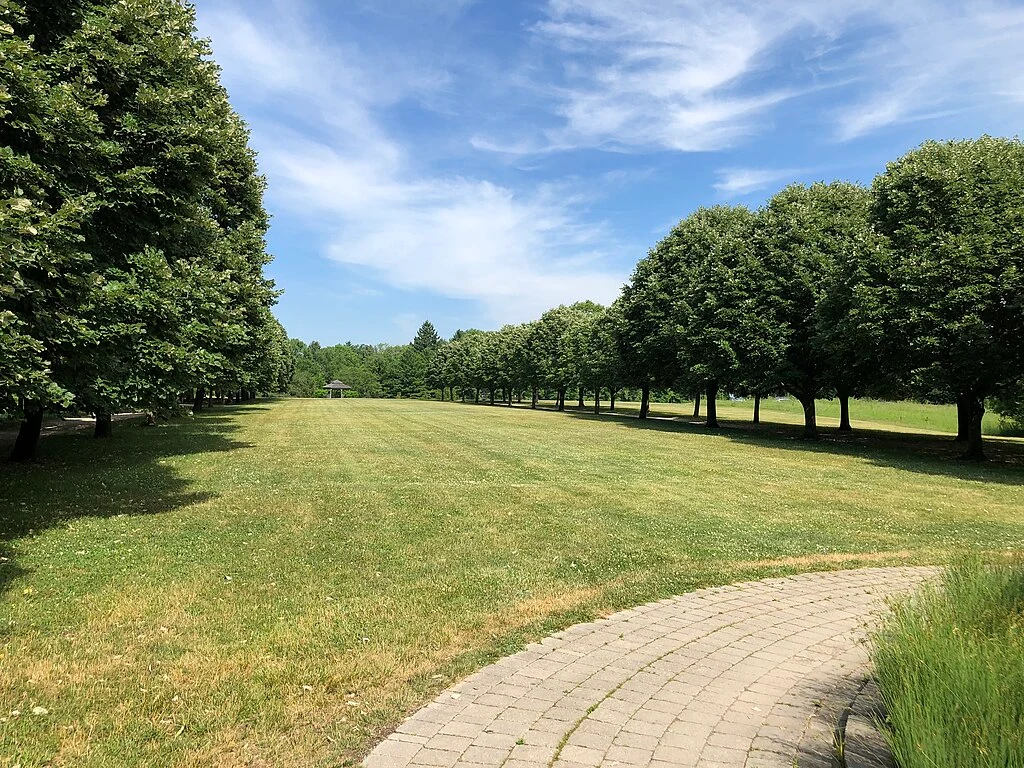 a walkpath in Tree lined Promenade in the Toledo Botanical Garden